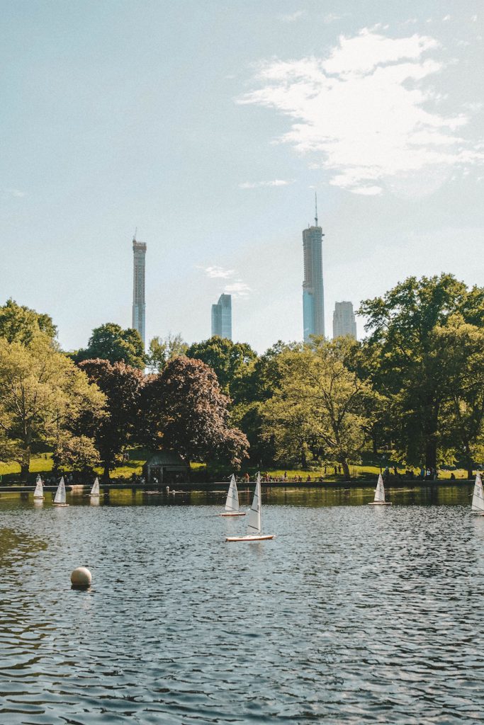 Central Park in New York City