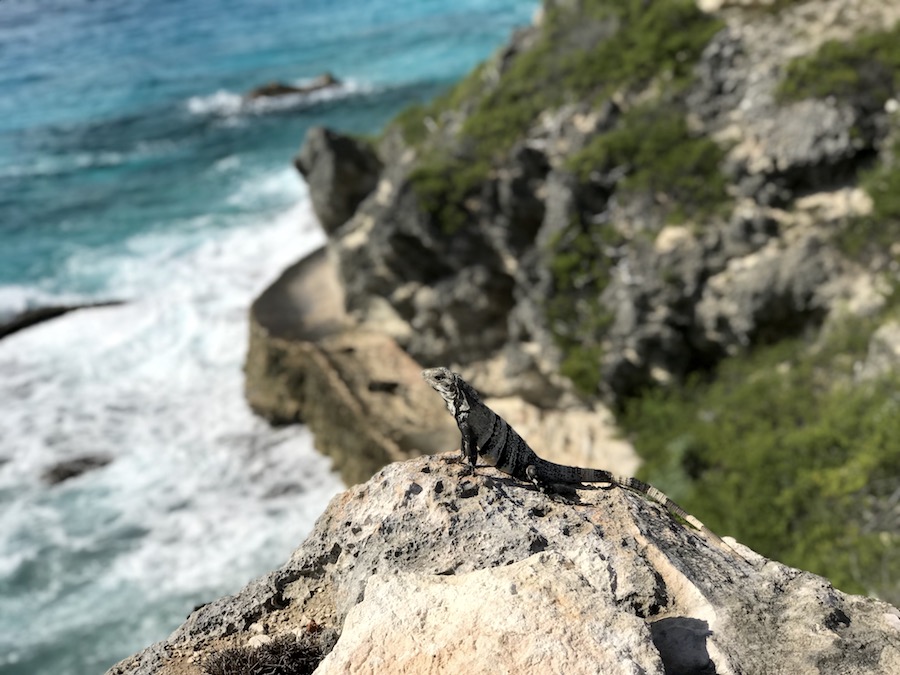 Isla Mujeres tips: Punta Sur uitzicht