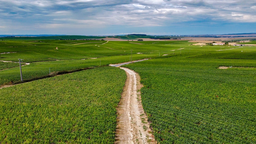 De Champagnestreek in Frankrijk, leuk voor een autovakantie in Europa