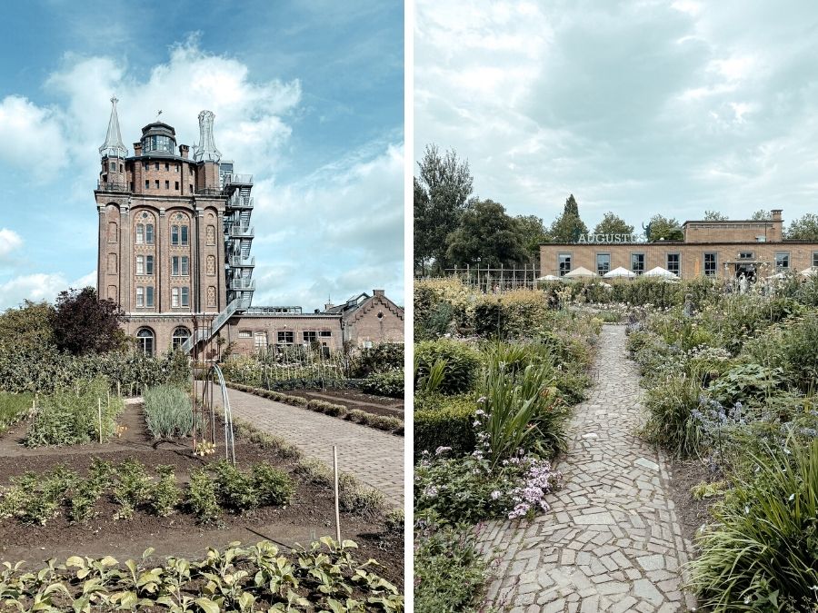 Villa Augustus: slapen in een oude watertoren omgeven door een moestuin