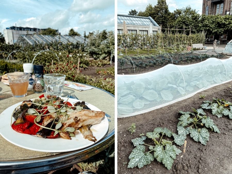 Ontbijten in de tuin van Villa Augustus in Dordrecht