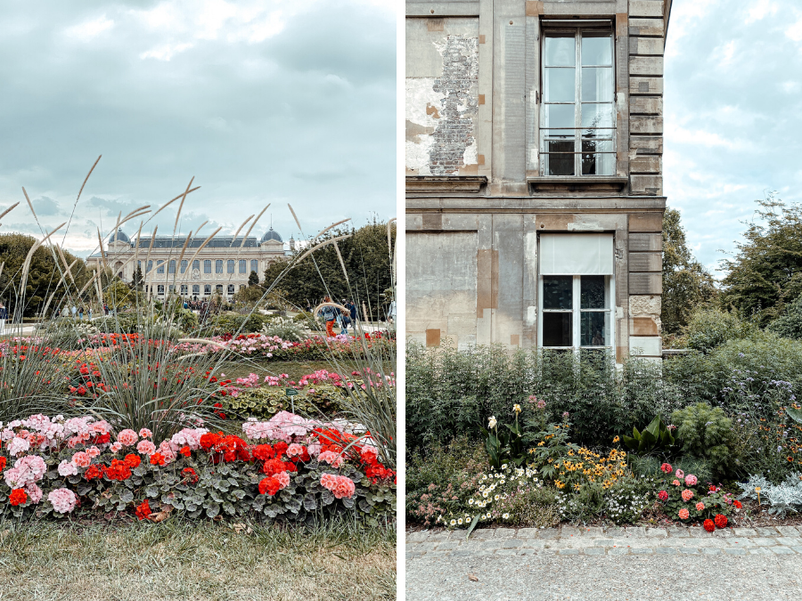 Instagram foto spots in Parijs: Jardin des Plantes