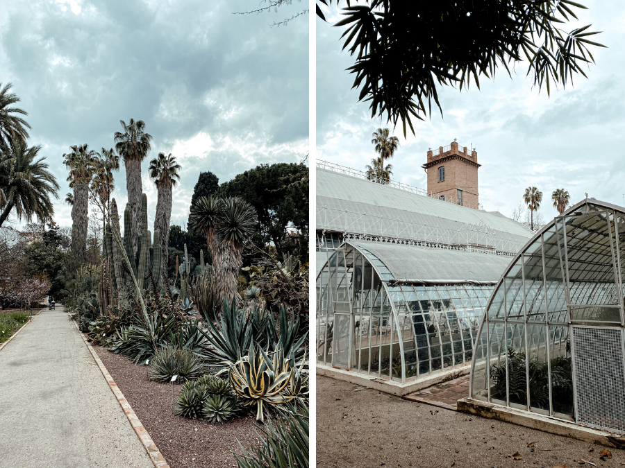 Doen in Valencia: Jardí Botànic bezoeken