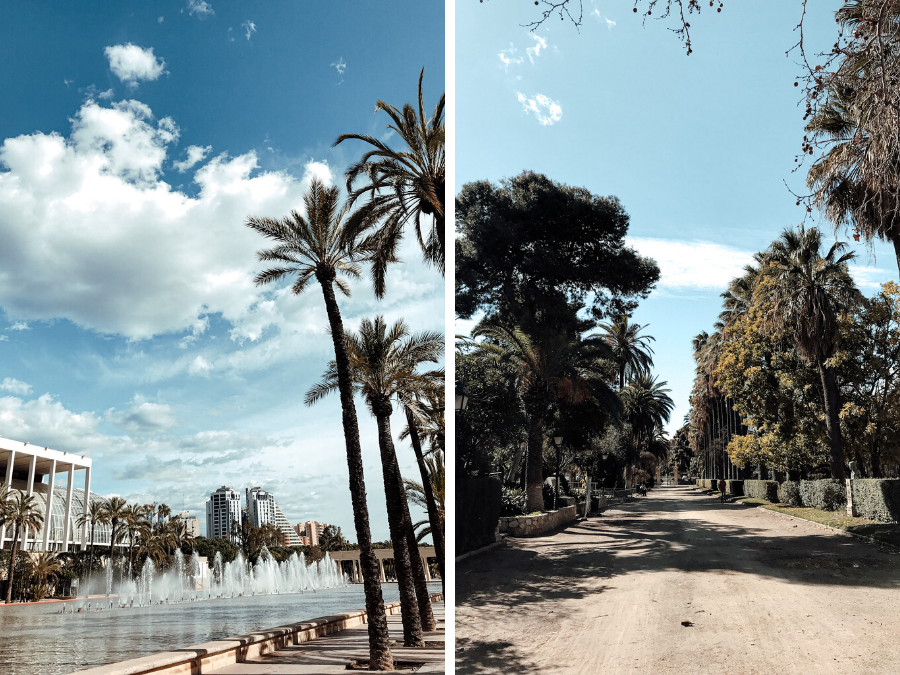 Jardín del Turia in Valencia