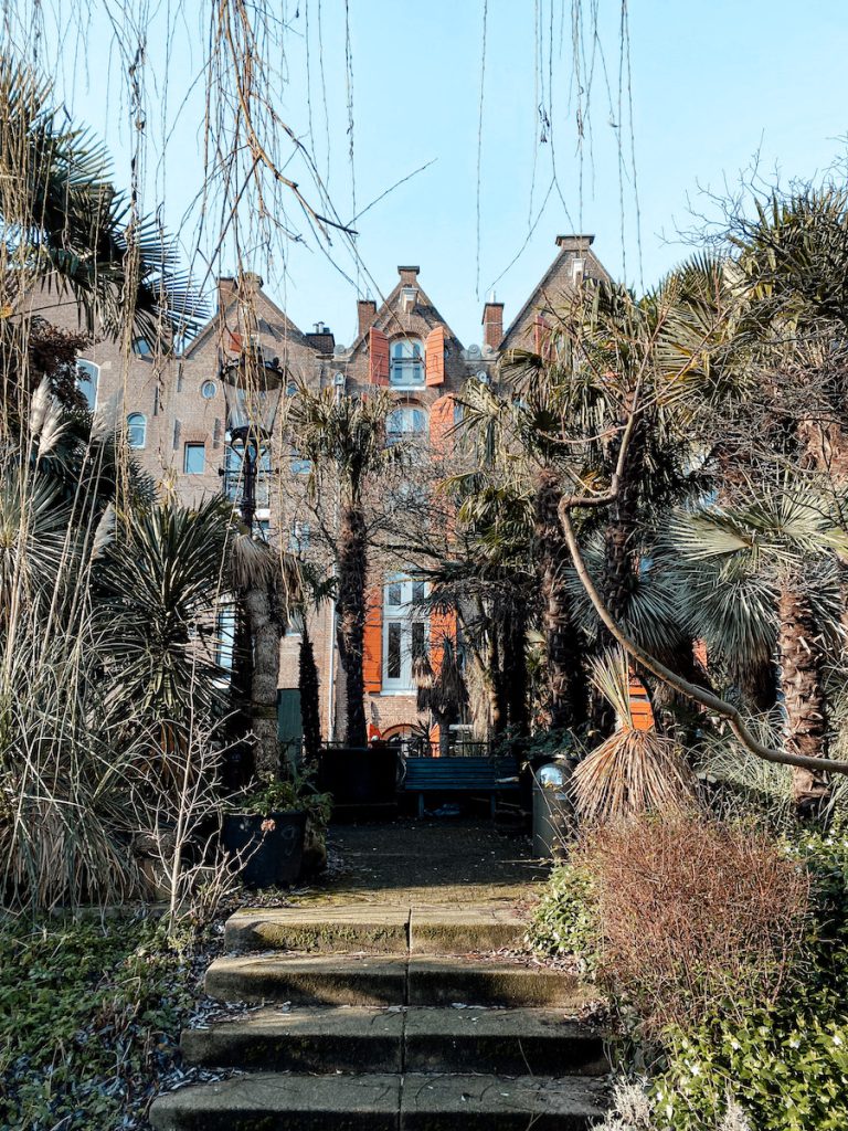 De verborgen Palmentuin op het Prinseneiland in Amsterdam