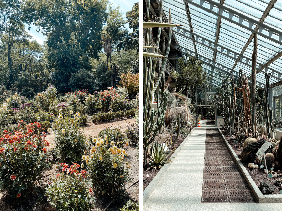 Doen in Madrid: Real Jardín Botánico