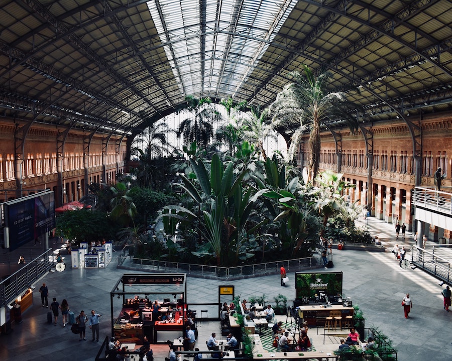 De botanische tuin in treinstation Atocha in Madrid