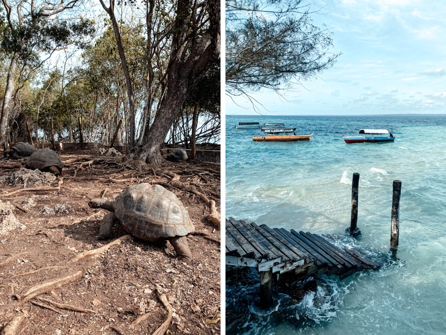 Prison Island, Zanzibar