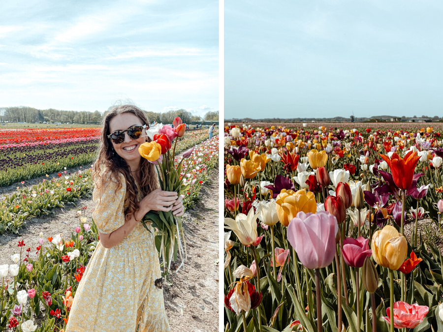 6 duurzame & leuke bloemen pluktuinen in Nederland: van tulpen tot pioenrozen