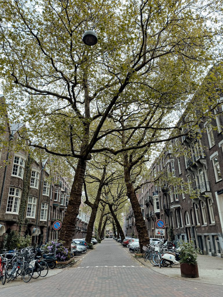 De mooiste straten van Amsterdam: Lomanstraat