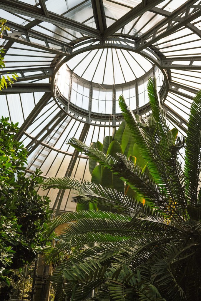 Verborgen plekjes in Amsterdam: Hortus Botanicus Amsterdam