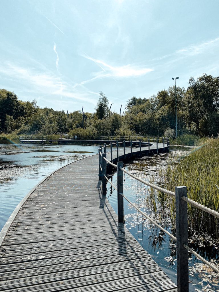 Wat te doen in Castricum: Maak een wandeling over het vlonderpad