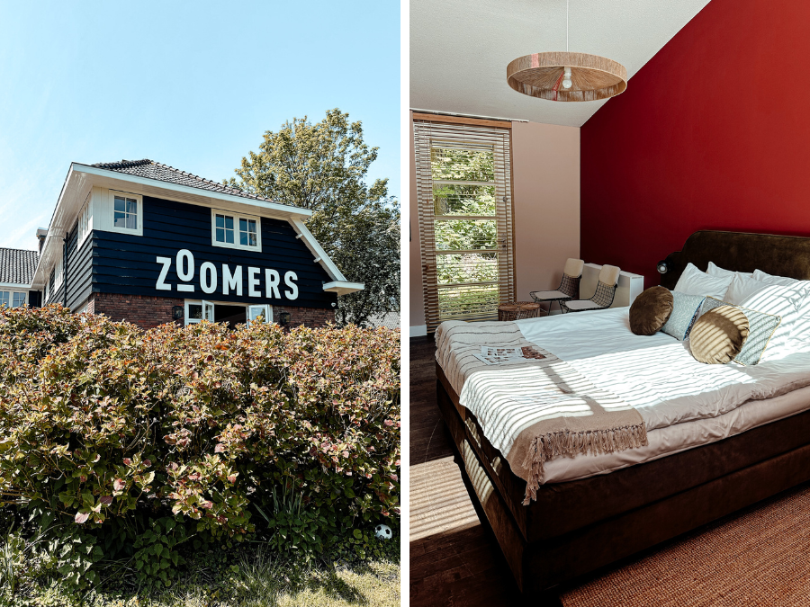 Zoomers aan het Bos in Castricum