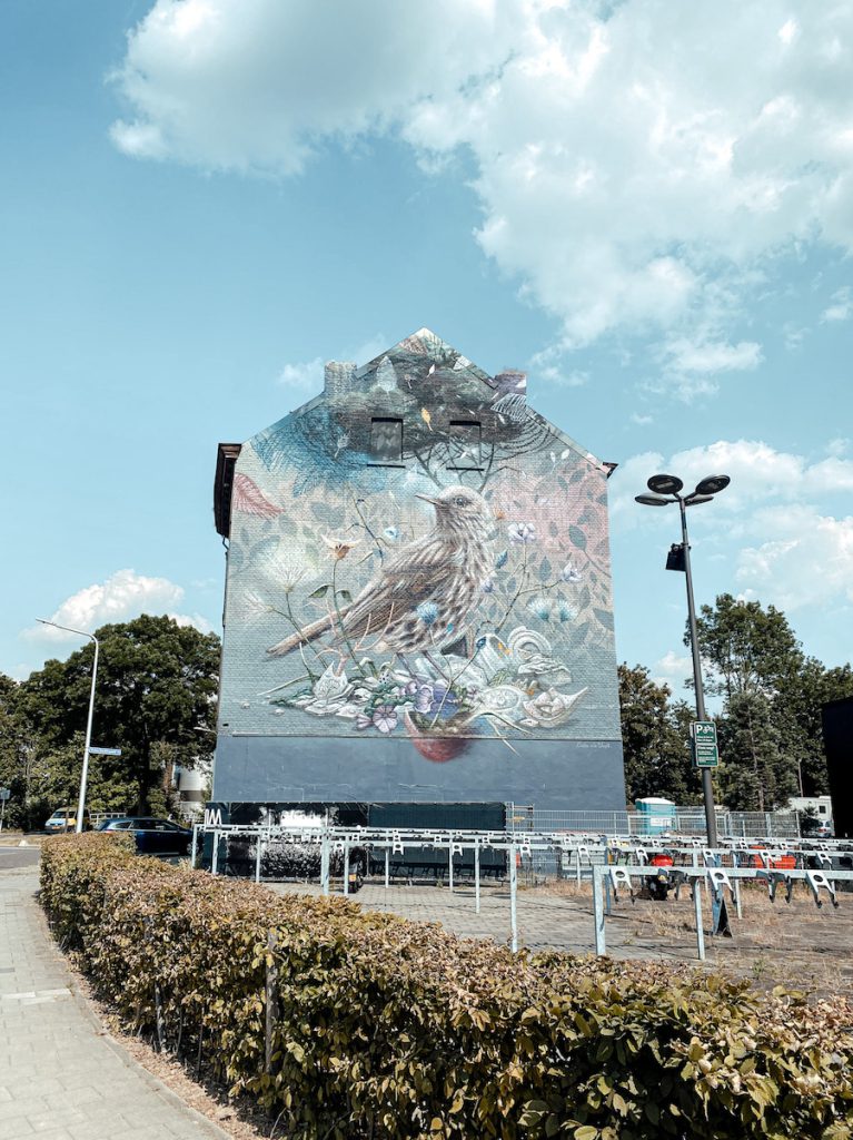 Street art spotten in Maastricht