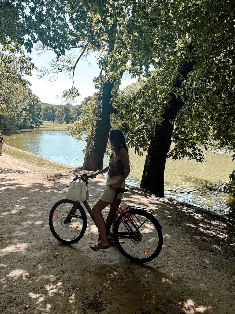 Doen in Brussel in de zomer: afkoelen in het Ter Kamerenbos 