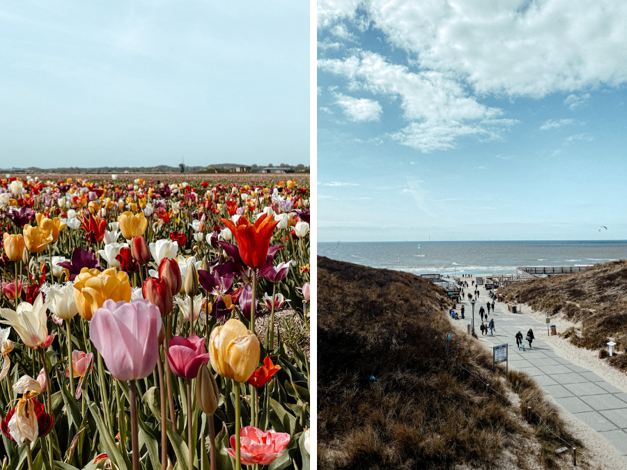 Wat te doen in Castricum: tips van een local