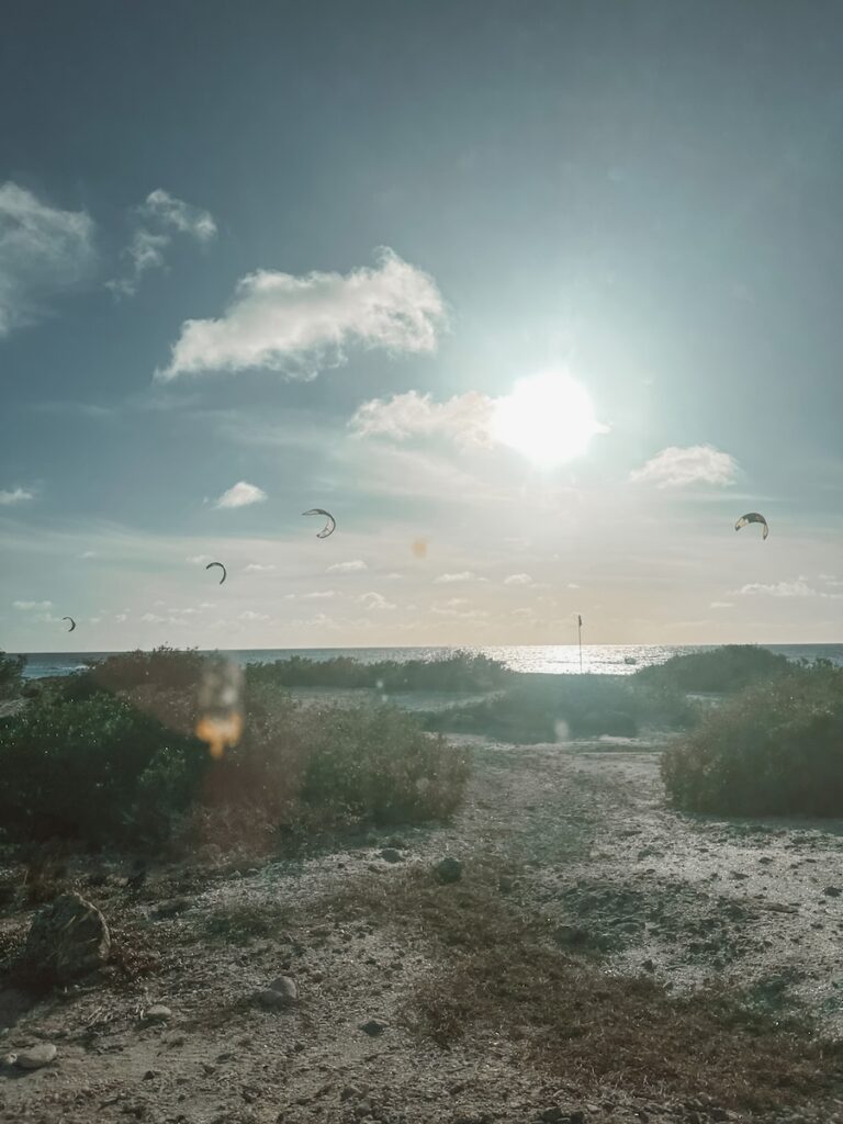 Bonaire is meer dan divers paradise