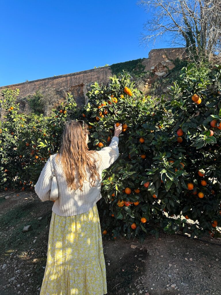 Valencia in de lente: een sinaasappelgaard bezoeken