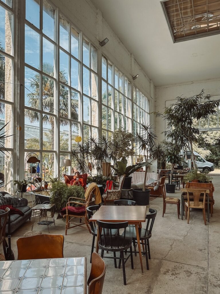 Lille hotspots: L'Orangerie