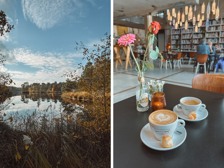 Wat te doen in Oisterwijk en omgeving