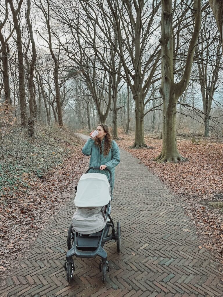 De kinderwagen winterklaar maken met de Thule Elements footmuff