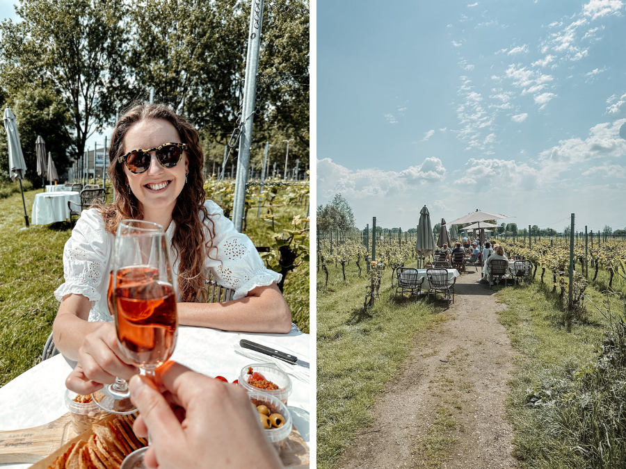 Date idee: high wine in een wijngaard in Amsterdam