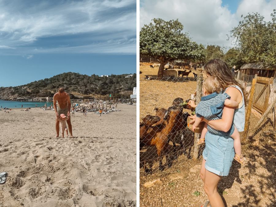 Ibiza met dreumes: van kindvriendelijke activiteiten tot hotspots